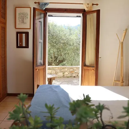 Olive Yard House Feriehus Skopelos